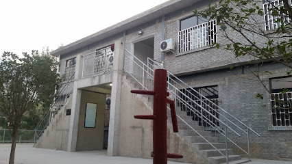 International Shaolin Temple Traditional Wushu Institute